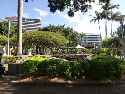Jardin à Southbank