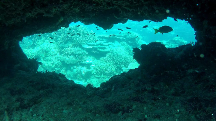 Petite grotte sous l'eau