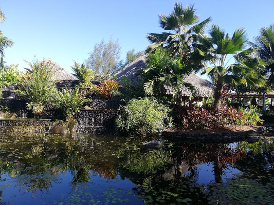 Jardin de Papetee