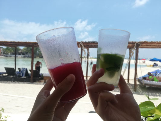 Nos coups de cœur depuis 1 an : Strawberry Daiquiri y Mojito por favor