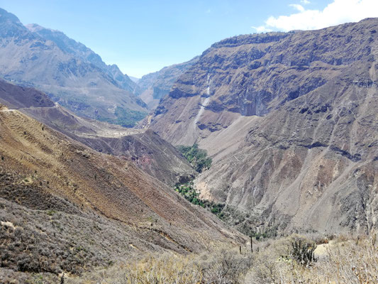 Canyon del Colca