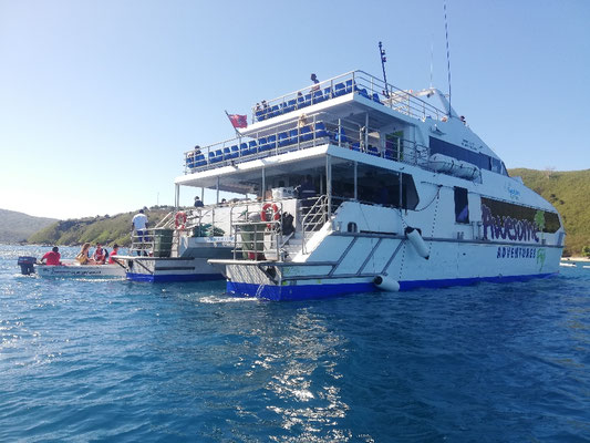 Notre ferry
