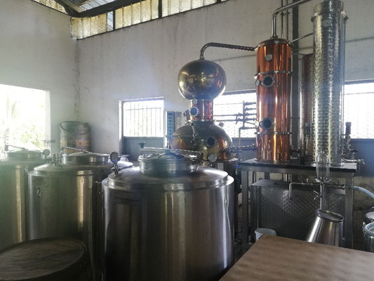Alambic pour le rhum