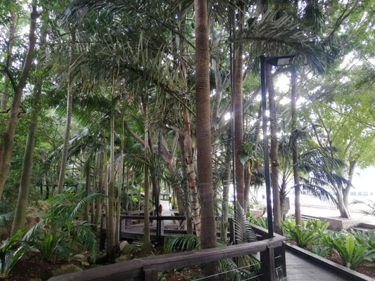 Promenade à Southbank
