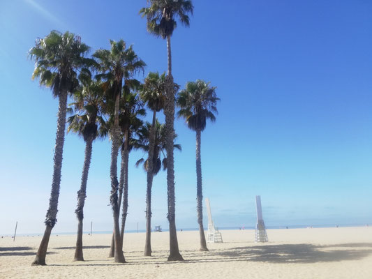 Venice Beach