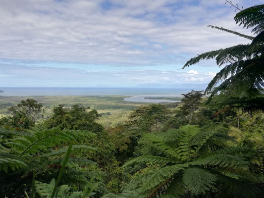 Point de vue surplombant la forêt des Daintree