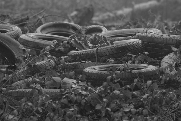 Un petit coin de nature !!! Forêt d'Othe.