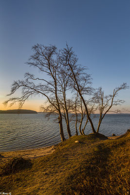 Lietzow am Jasmunder Bodden