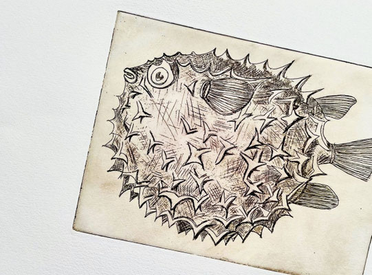 Radierung Kugelfisch