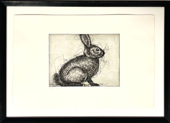 Radierung Hase