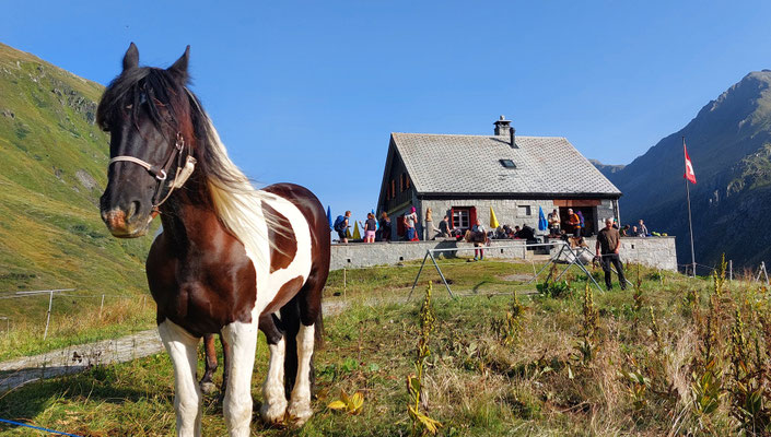 Pferde vor der Vermigelhütte