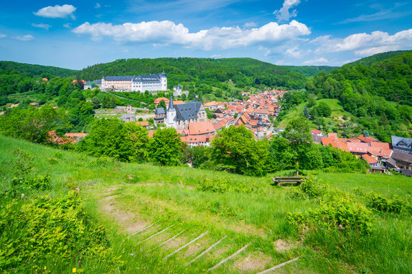 Blick von der Lutherbuche zum Schloss in Stolberg