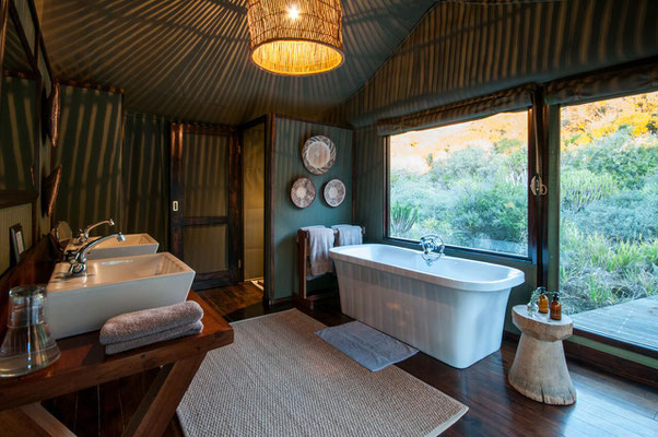 Safari Lodge Südafrika Amakhala Game Reserve