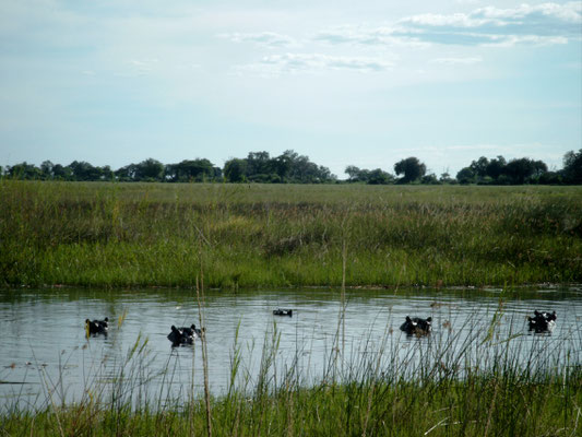 Malaria Namibia Botswana