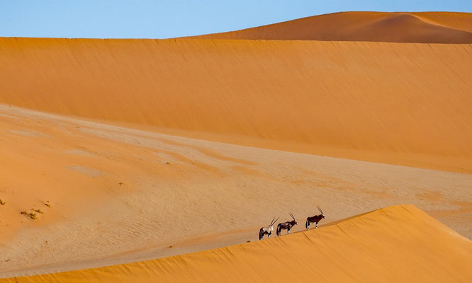 Reisetipps Namibia auf eigene Faust Blog