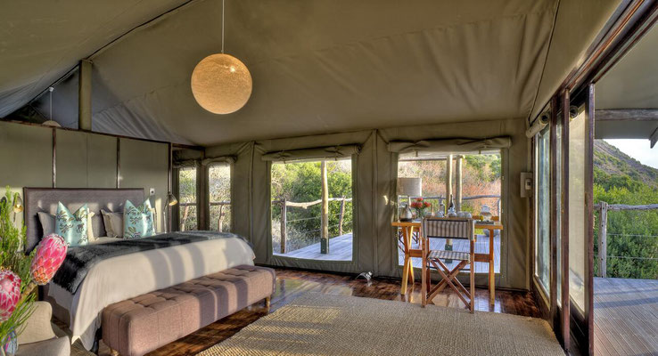 Südafrika Safari Lodges Amakhala Game Reserve