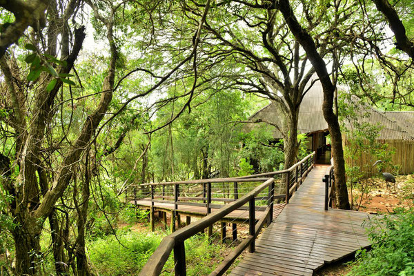 Safari Lodge Südafrika St Lucia