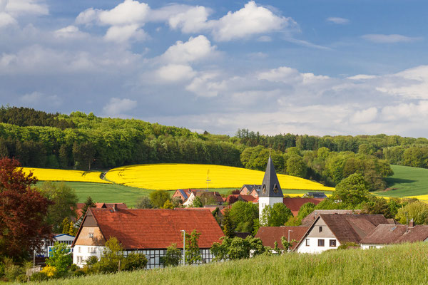 Blick auf Oldendorf zur Rapsblüte