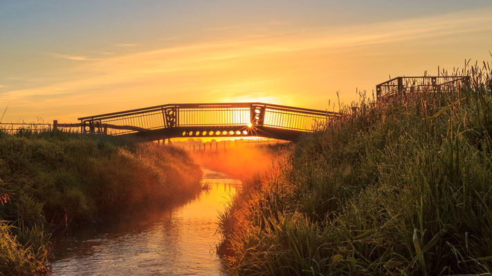 Sonnenaufgang an der Bifurkation