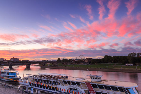 Sonnenuntergang am Elbufer Dresden