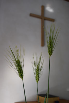 講壇横、三本の麦が生けられていました。まるで、イエスさまの十字架の場面のようです。