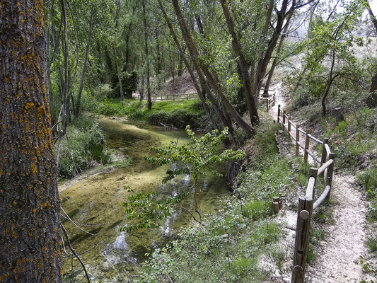 Senda de la Vega entre Carrascal del Río y Burgomillodo en Segovia