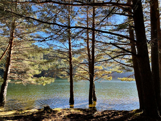 Embalse del Tejo