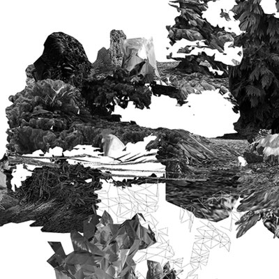 Supernature_2025__Artist_In_Residenz__Loitz