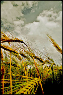 Michaud René - orage imminent