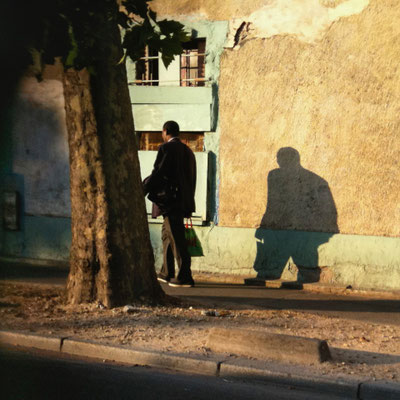 Cathy Plannier