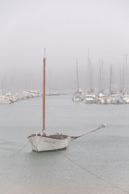 Hardouin Anne - port de Camaret