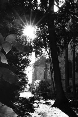 Cathy Plannier