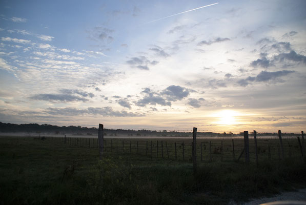 Emma Saint Carlier - aube, une promesse, rural