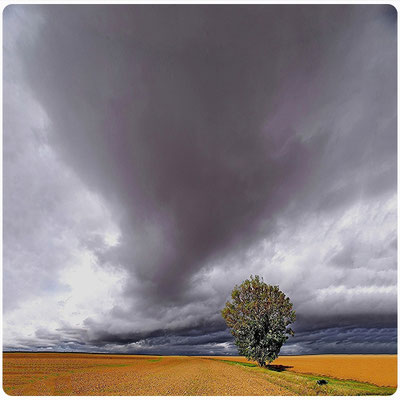 Michaud René - résilience