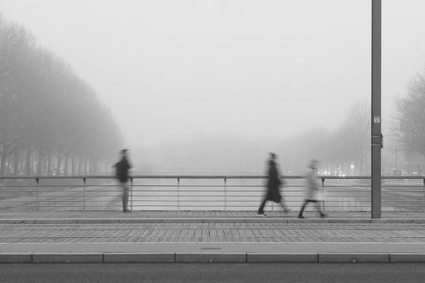 Alves Michely - brouillard