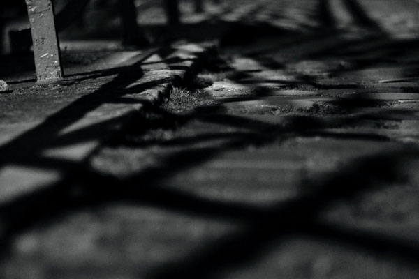 Sabine Taffin