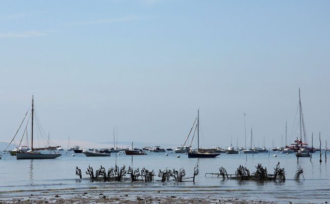 Harel Jean Paul - bassin d'Arcachon