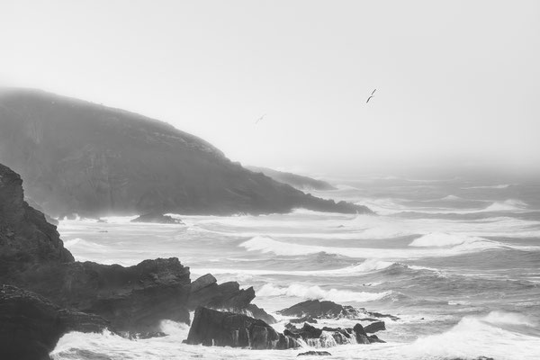 Hardouin Anne - tempête