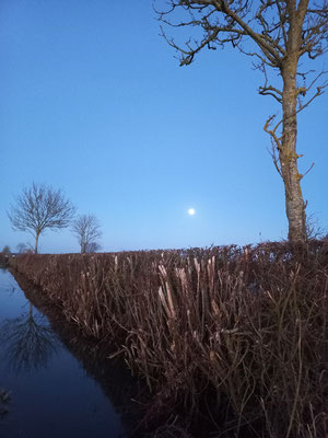 Isabelle Carlier - champs inondés au clair de lune, Manche