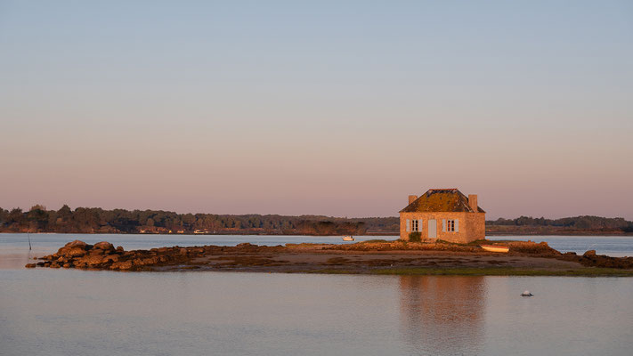 Anne Hardouin - un matin dans le Morbihan