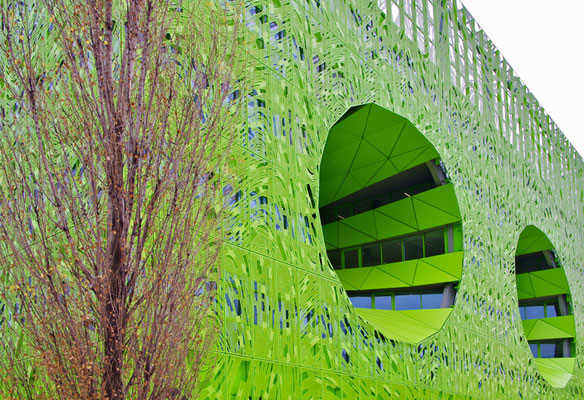 Cécile Joly - le cube vert, Lyon Confluence, urbain