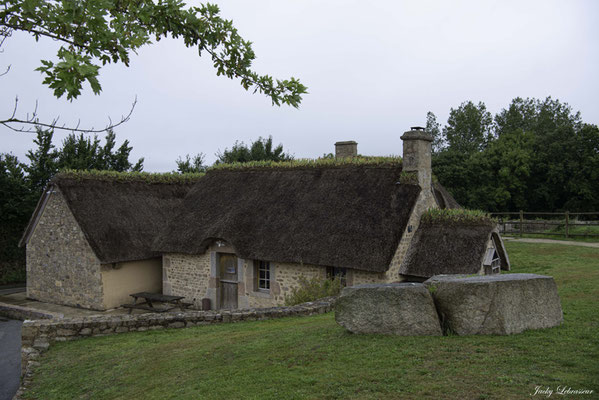 Jacky Lebrasseur - le moulin à eau de Marie Ravenelle, rural