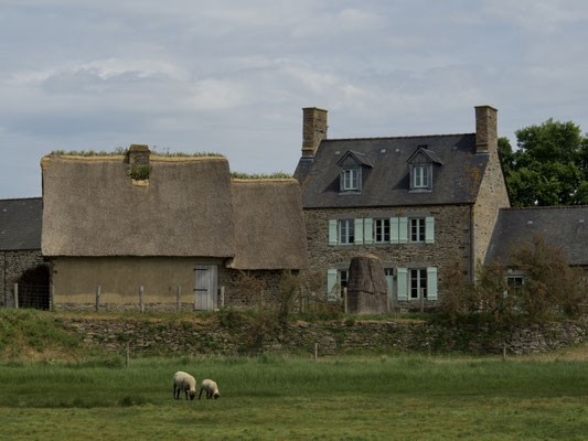 Joly Cécile - Saint Léonard