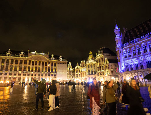Sylvie Leroy - Bruxelles by night