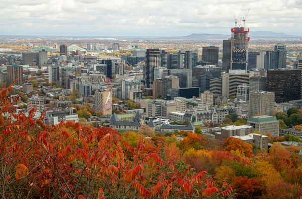 Michèle Goumy - Montréal, urbain