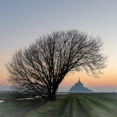 Hardouin Anne - aube normande