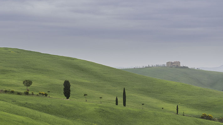 Hardouin Anne : collines toscanes