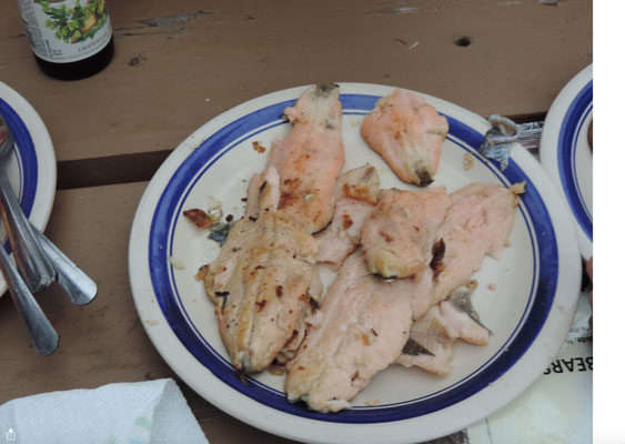 Delicious Trout dinner