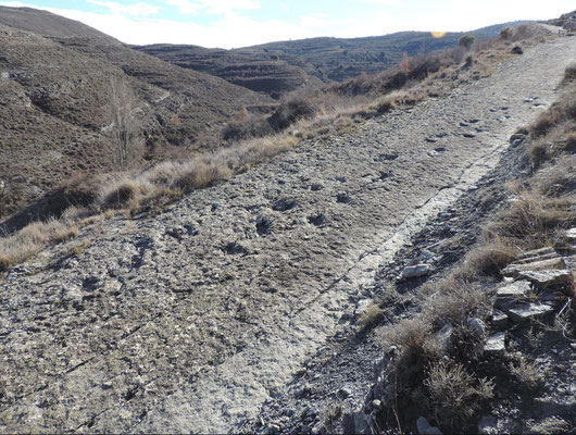 Dinosaur trackway, Enciso