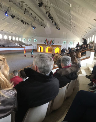 Inside the arena, Royal Andalusian School of Equestrian Art